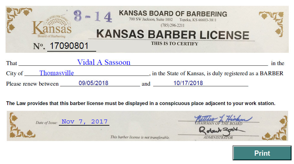 state of mi cosmetology license verification